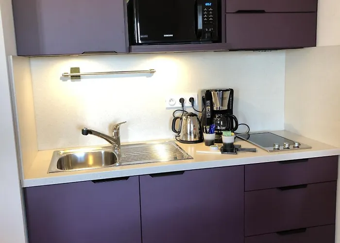 Le Manoir Apartment Perignat-les-Sarlieve